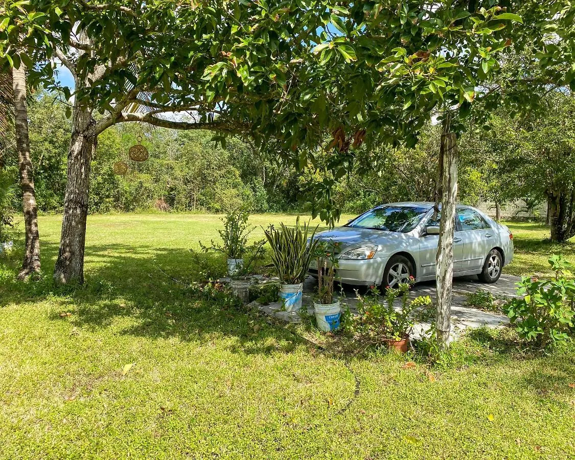 Apartmán Casa Vazquez Es Tranquilidad Cozumel